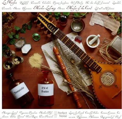 Produktbild von Music Is The Cure!
