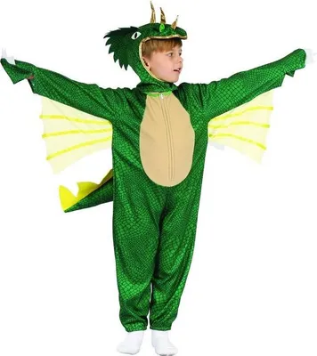 Produktbild von Karnevalskleid - Dinosaurier, 80 - 92 cm
