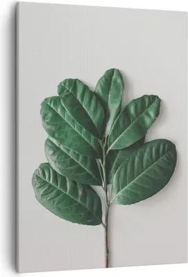 Produktbild von Bild auf Leinwand - Leinwandbild - Einteilig - Blätter Pflanzen Botanik - 50x70cm - Wand Bild - Wanddeko - Wandbilder - Leinwanddruck - Wanddekoration - Leinwand bilder - Wandbild - PA50x70-4956