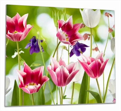Produktbild von Wallario Herdabdeckplatte aus Glas, Größe 60 x 52 cm 2-teilig, Motiv Blühende Blumen im Frühling in pink und weiß