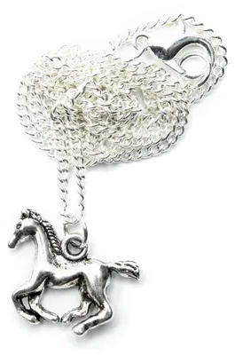 Produktbild von Pferd Kette Miniblings 45cm Anhänger Halskette Reittier Reiten Pony laufend slbr