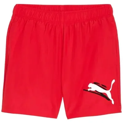 Produktbild von Shorts Puma 678991-11 für Herren