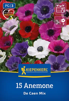 Produktbild von Kiepenkerl Kronenanemone De Caen 15 Pflanzen