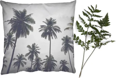 Produktbild von MuchoWow® Zierkissen Sofakissen Wohnzimmer Dekokissen 40x40 cm Palme - Tropisch - Natur - Foto Kissen - Schlafzimmer Dekoration