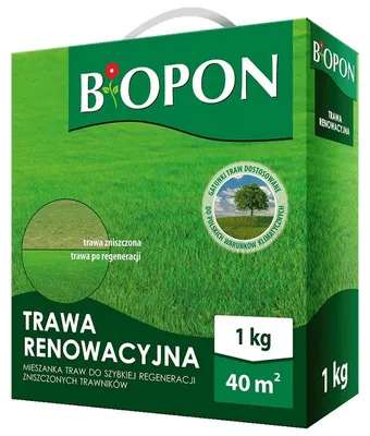 Image de Herbe de rénovation 1 Kg
