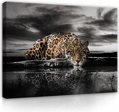 Produktbild von Leinwandbild Tiger Tiere Natur 120x80 cm XXL Modern Canvas Leinwand Bilder Leinwandbilder Wandbilder Kunstdruck Bild auf Leinwand Aufhängefertig