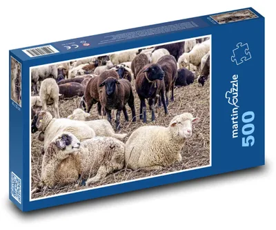 Produktbild von Puzzle 500 Schafherde auf der Wiese - martinpuzzle