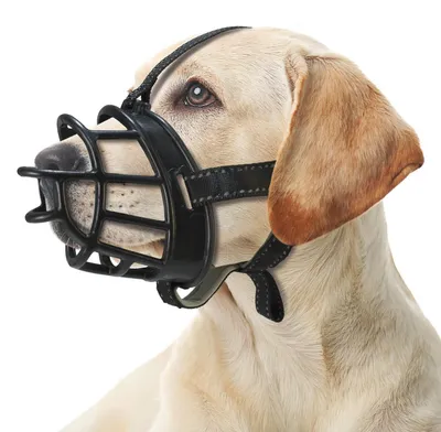 Silikon-Maulkorb für Hunde, Größe M, 7x23x34-48 cm