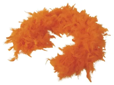 Zdjęcie produktu dla Boa Z Orangenen Federn, 1,80 M (40 Gramów)
