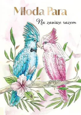 Image de A5 Papużki Mariage