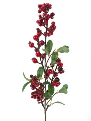 Produktbild von Dekozweig Beeren-Zweig 65cm 1 Stück