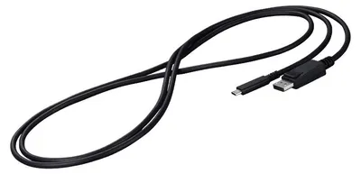 Obrázek produktu pro EIZO CP200-BK, 2 m, DisplayPort, USB typu C, Samec, Samec, Černá