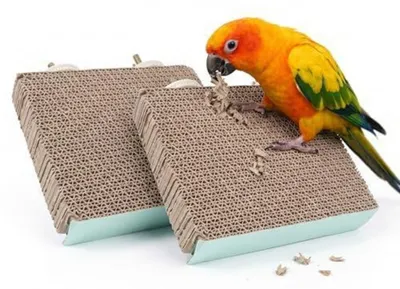 Productafbeelding van Papagaai-zitstok van karton, set van 2, geschikt voor parkieten en kanaries, 19,5 x 14,5 x 4 cm