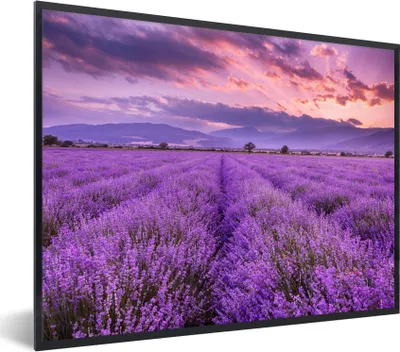 Produktbild von MuchoWow® Gerahmtes Poster Lavendel - Lila - Blumen - Feld 80x60 cm - Poster mit Schwarzem Bilderrahmen Wandposter Rahmen Foto Bilder - Schwarzem - Mit Gestell