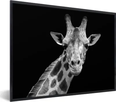 Produktbild von MuchoWow® Gerahmtes Poster Giraffe - Wildtiere - Schwarz-Weiß - Porträt 40x30 cm - Poster mit Schwarzem Bilderrahmen Wandposter Rahmen Foto Bilder - Kunstposter - Wanddekorationen