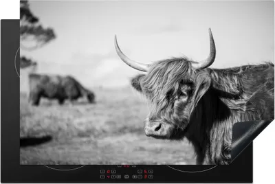 Obrázek produktu pro KitchenYeah® Krycí deska na sporák Scottish Highlander - Animals - Black - White , 81x52cm, dekorace do kuchyně, keramická krycí deska na sporák, krycí deska na varnou desku