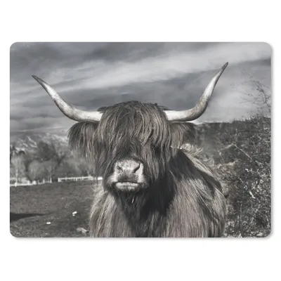 Produktbild von MuchoWow® Mauspad Mousepad Schottischer Highlander - Tiere - Hörner 40x30 cm - Mousepads - Maus Mat - Pad - Mausunterlage - Anti Rutsch