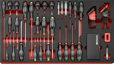 Image de Facom XXL Modul Schraubendreher+Stiftschl.