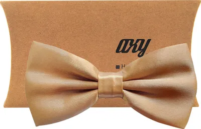 Produktbild von axy® Herren Vorgebundene Fliege Schleife in Beige mit Geschenkbox-Hochzeit-Business Outfit