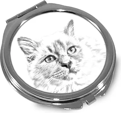 Produktbild von Birma Spiegel mit Katzenbild Art-Dog