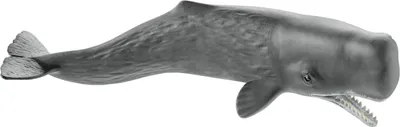 Produktbild von Schleich - Tierfiguren, Pottwal; 14764
