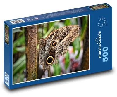 Produktbild von Puzzle 500 Schmetterling im tropischen Wald - martinpuzzle