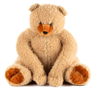 A plush teddy bear sitting on a white background.