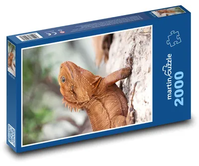 Obrázek produktu pro martinpuzzle - Puzzle 2000 - Ještěrka - plaz