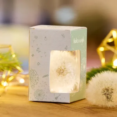 Produktbild von Wunscherfüller Geldgeschenk Verpackung kreative Geschenkidee mit Pusteblume