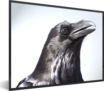 Produktbild von MuchoWow® Gerahmtes Poster Krähe - Federn - Vogel 80x60 cm - Poster mit Schwarzem Bilderrahmen Wandposter Rahmen Foto Bilder - Schwarzem - Mit Gestell