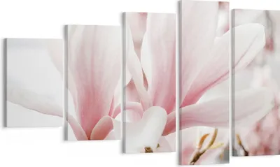 Produktbild von Bild auf Leinwand - Leinwandbild - 5 Teile - Zweig Magnolie Blume - 100x60cm - Wand Bild - Wanddeko - Wandbilder - Leinwanddruck - Bilder - Wanddekoration - Leinwand bilder - Wandbild - EG100x60-4538