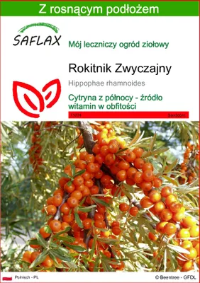 Zdjęcie produktu dla SAFLAX - Rokitnik Zwyczajny - 40 Nasiona - Z podłożem uprawowym wolnym od zarazków - Hippophae rhamnoides