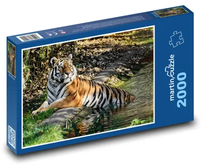 Produktbild von Puzzle 2000 Tiger im Wasser - martinpuzzle