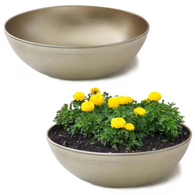Produktbild von Runde bauchige 30 cm Pflanzschale für draussen, champagner beige