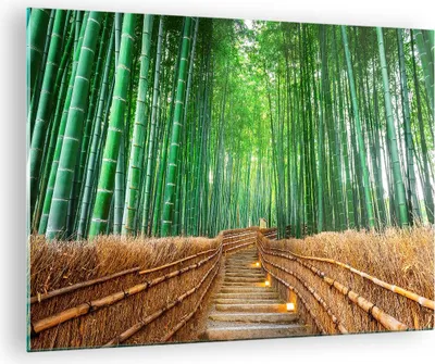 Produktbild von Bilder auf glas - Bambus Pflanze - 70x50cm - Glasbilder - Wandbilder - Kunstdruck - zum Aufhängen bereit - Wanddekoration aus Glas - Glas Bilder - Wandbild auf Glas - Einteilig - GAA70x50-3979