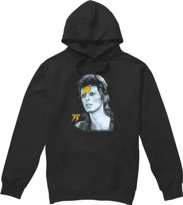 Imagen del producto de Sudadera con capucha para hombre, diseño "Golden Bowie" de David Bowie, modelo TV7350 (talla XL), color