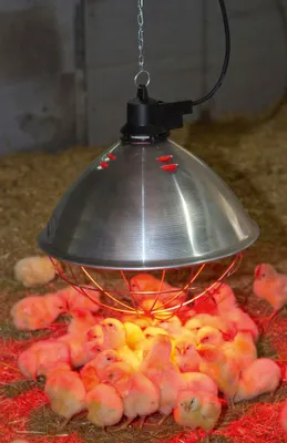 Produktbild von Infrarot-Wärmestrahler 5,0mtr. 35cm Reflector Wärmestrahlgerät Ferkelaufzucht