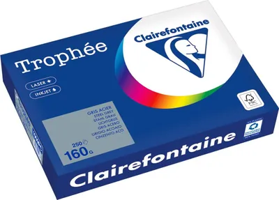 Immagine prodotto di Kopierpapier A4 160g stahlgrau 250Bl