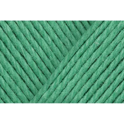 Produktbild von Schachenmayr Catania 50g pfefferminz 508