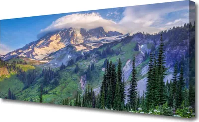 Produktbild von Tulup Leinwand-Bilder 125x50 Wandbild Canvas Kunstdruck Gebirge Wald Landschaft