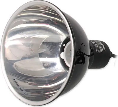 A close-up studio shot of a black and silver heat lamp with a reflective interior.