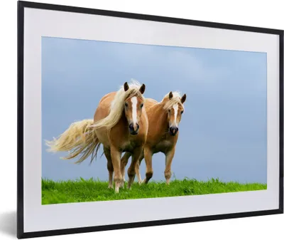 Produktbild von MuchoWow® Gerahmtes Poster Pferde - Gras - Luft 60x40 cm - Poster mit Schwarzem Bilderrahmen Wandposter Rahmen Foto Bilder - Schlafzimmer - Plakat in Rahmen - Drucken