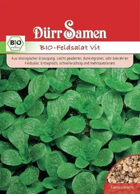 Produktbild von Feldsalat Vit |  Feldsalatsamen von Dürr Samen