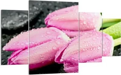 Produktbild von Bild auf Leinwand - Leinwandbild - Tulpen Tau Steine Pflanze - 160x90cm - Wand Bild - Wanddeko - Leinwanddruck - Bilder - Kunstdruck - Wanddekoration - Leinwand bilder - Wandkunst - DL160x90-2485