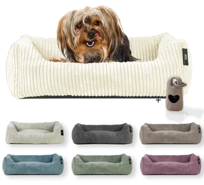 Produktbild von Rohrschneider Hundebett waschbar für kleine und mittelgroße Hunde mit Hundekissen Cord  inkl. Gassibeutel, Farbe:vanille 55cm, Muster:Cordstoff breit