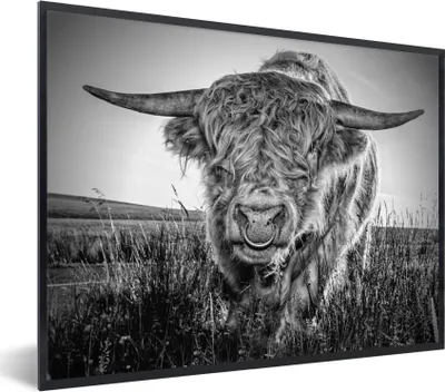 Produktbild von MuchoWow® Gerahmtes Poster Schottischer Highlander - Schwarz und Weiß 80x60 cm - Poster mit Schwarzem Bilderrahmen Wandposter Rahmen Foto Bilder - Schwarzem - Mit Gestell