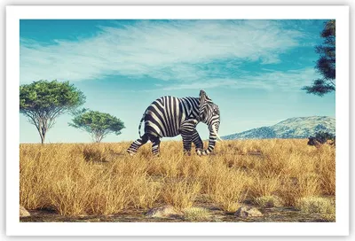 Produktbild von Poster - Poster ohne Rahmen - Surreal Elefant Rippen - 91,5x61 cm - Wand Bild - Wanddeko - Wandbilder - Kunstposter - Wandposter - Bilder - Kunstdruck - Wanddekoration - Wandbild - P2XAA91x61-4717