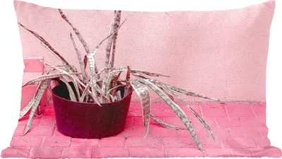 Produktbild von MuchoWow® Zierkissen Sofakissen Wohnzimmer Dekokissen 60x40 cm Sommer - Rosa - Pflanzen - Kopfkissen - Polster mit Foto
