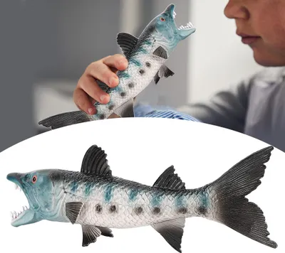 Image de Modèle de poisson Simulation Marine Océan Vie marine Jouet Wolffish Figurine rare Ornements Jouet pour enfants M-1335