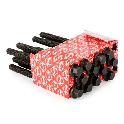 Image de Kit de vis à tête cylindrique Elring 221.490